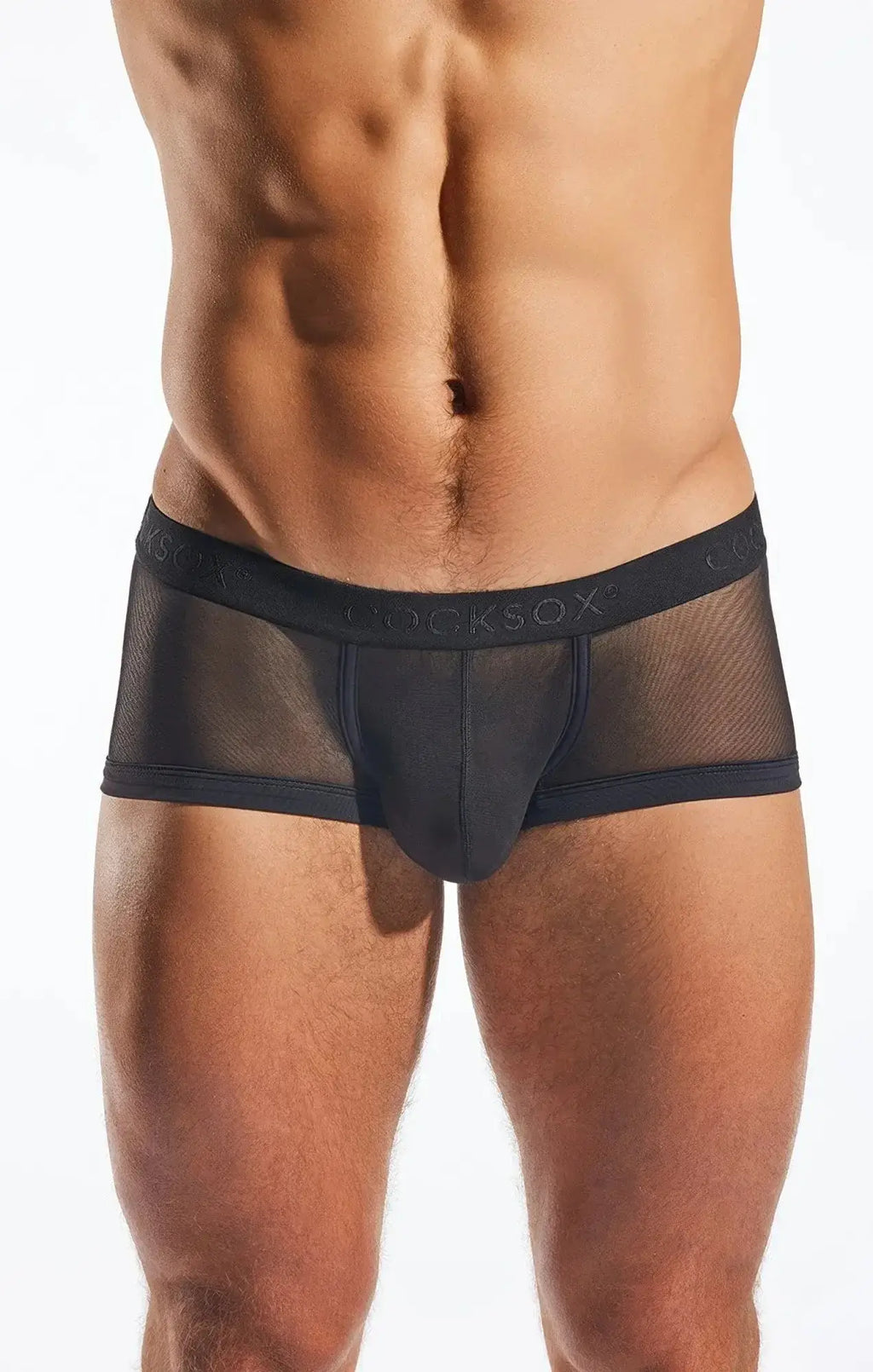 Black mesh briefs with a solid front panel and locksox embroidered waistband cocksox cx68me mesh trunk