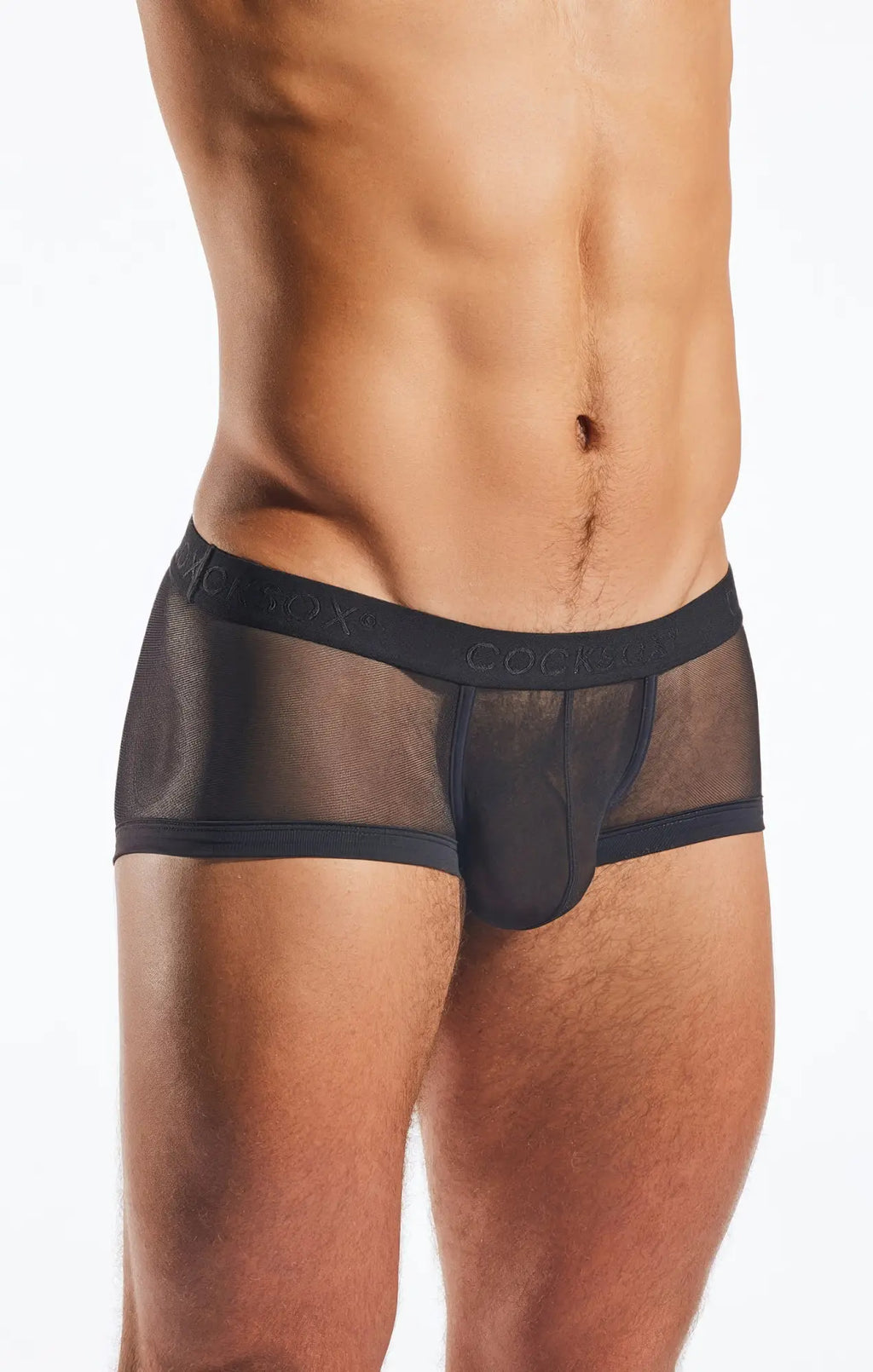 Black mesh briefs with solid black waistband branded cocky by cocksox cx68me mesh trunk visible front side
