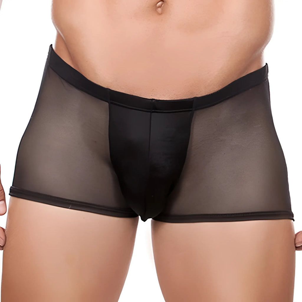 Black sheer mesh briefs with solid black front panel and waistband from Cover Male CM164 boxer trunk collection