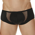 Cover male cm208 intimate brief black mesh briefs with solid black waistband and leg openings front view