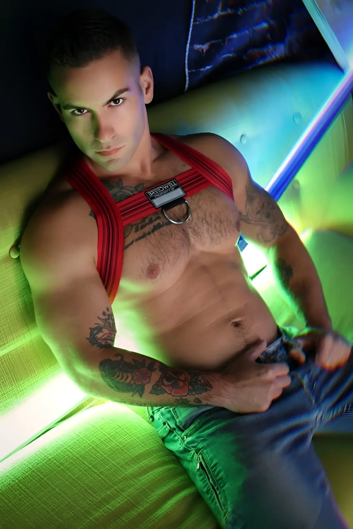 Cumdump bulldog harness red nylon harness with black label and silver metal ring for secure dog restraint