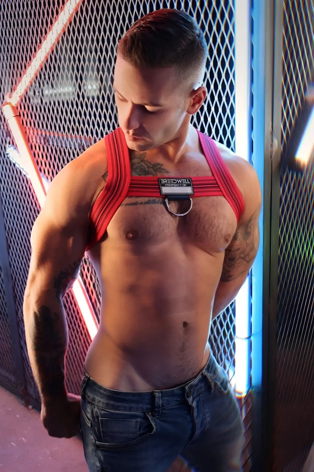 Cumdump bulldog harness with red fabric, black label, and silver metal ring for secure fit and comfort