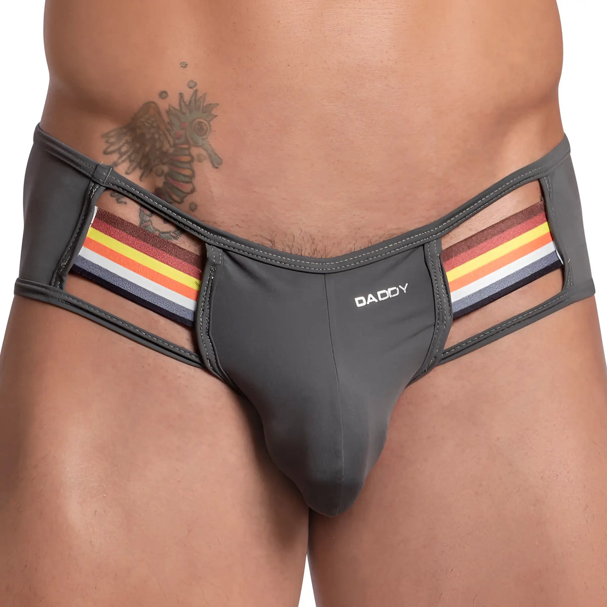 Gray daddy brand daddy dde051 jockstrap briefs with rainbow-striped side panels and supportive pouch design