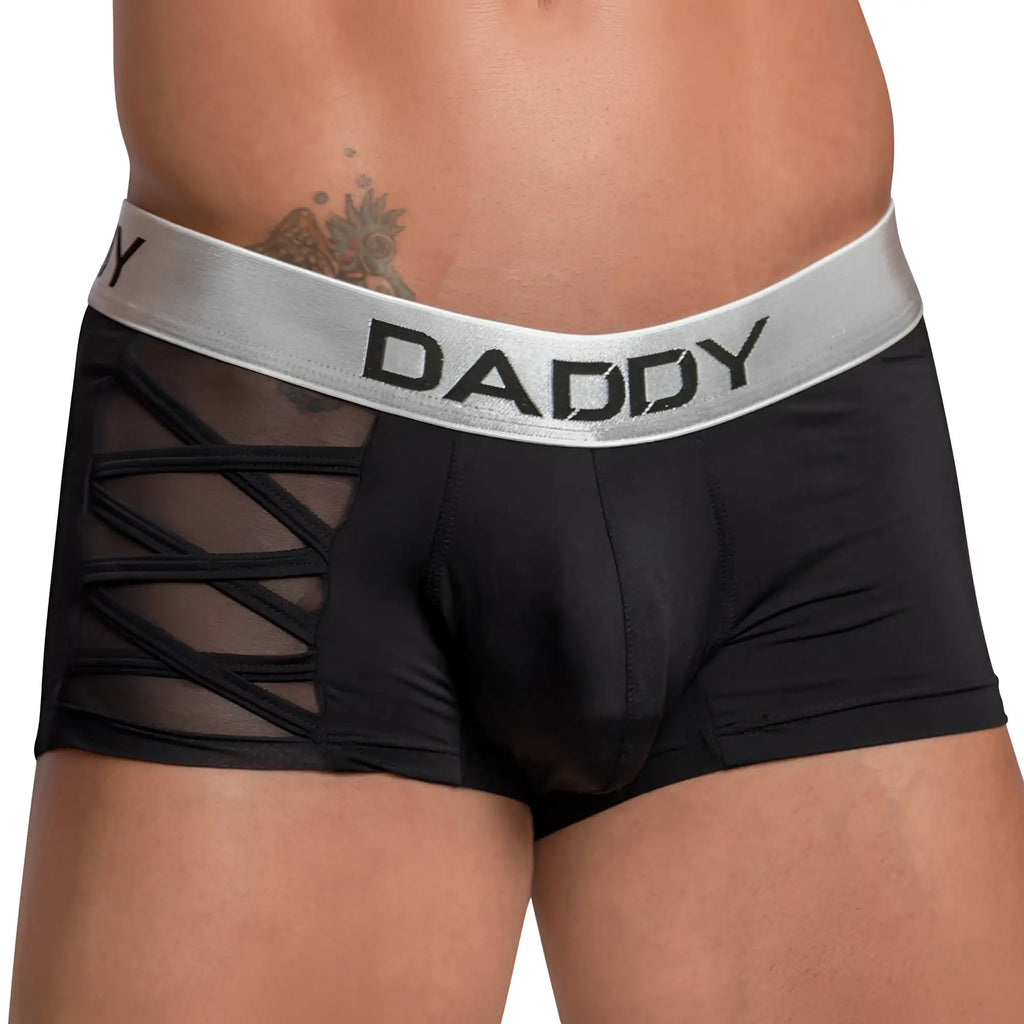 Black mens boxer briefs daddy ddg010 with silver waistband and bold daddy lettering featuring sheer mesh side panels