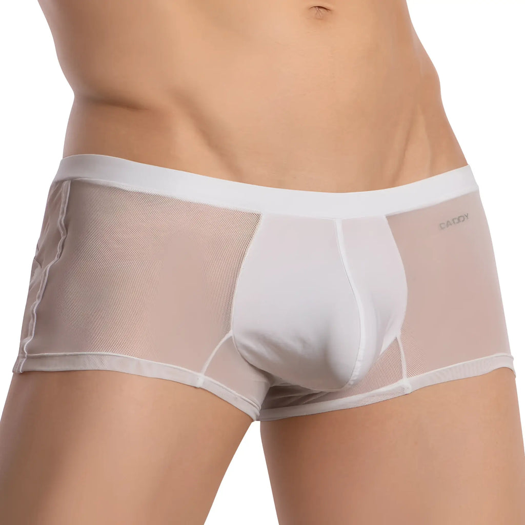 Daddy DDG019 boxer trunk white mesh briefs with solid front panel elastic waistband and saddy embroidery on side