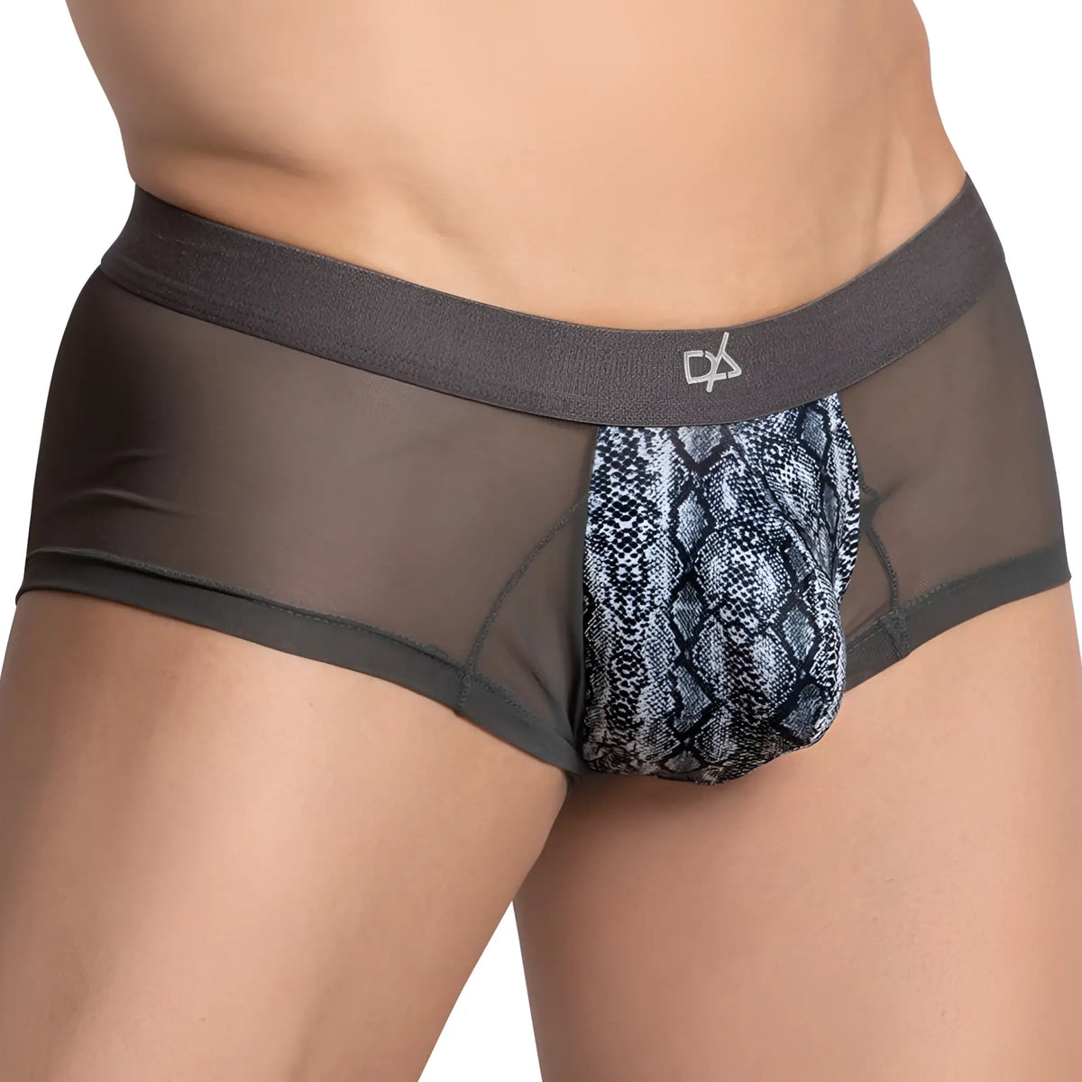 Daniel Alexander DAG011 bikini brief in dark gray sheer mesh with bold black and white snake-scale front panel
