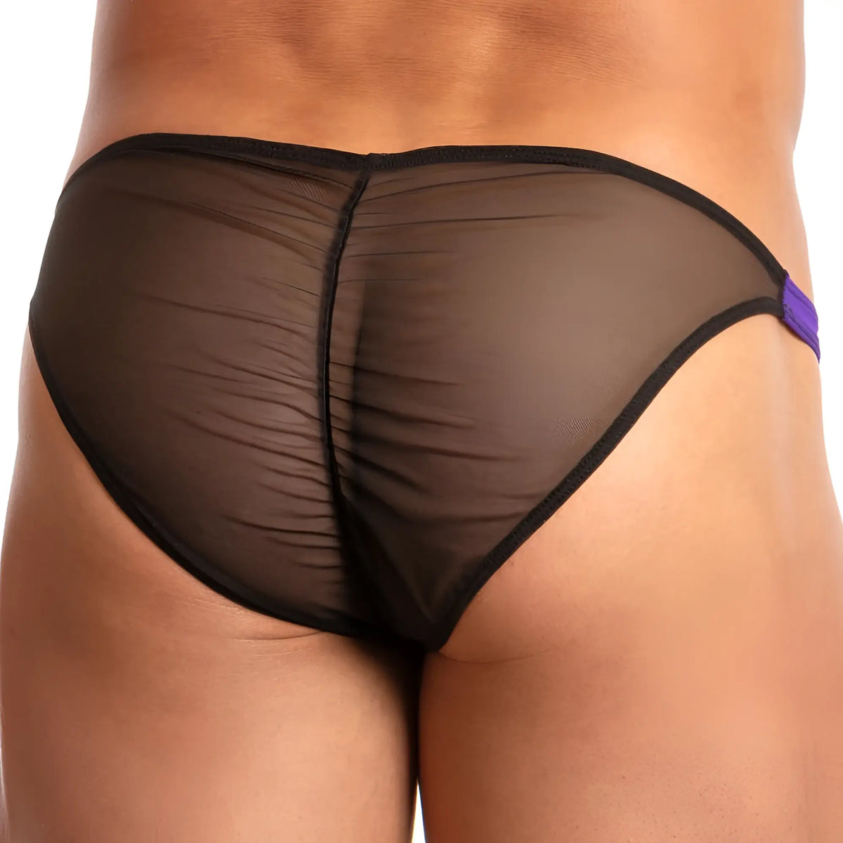Daniel alexander dai066 bikini brief in black sheer mesh with purple side accent showcasing front view