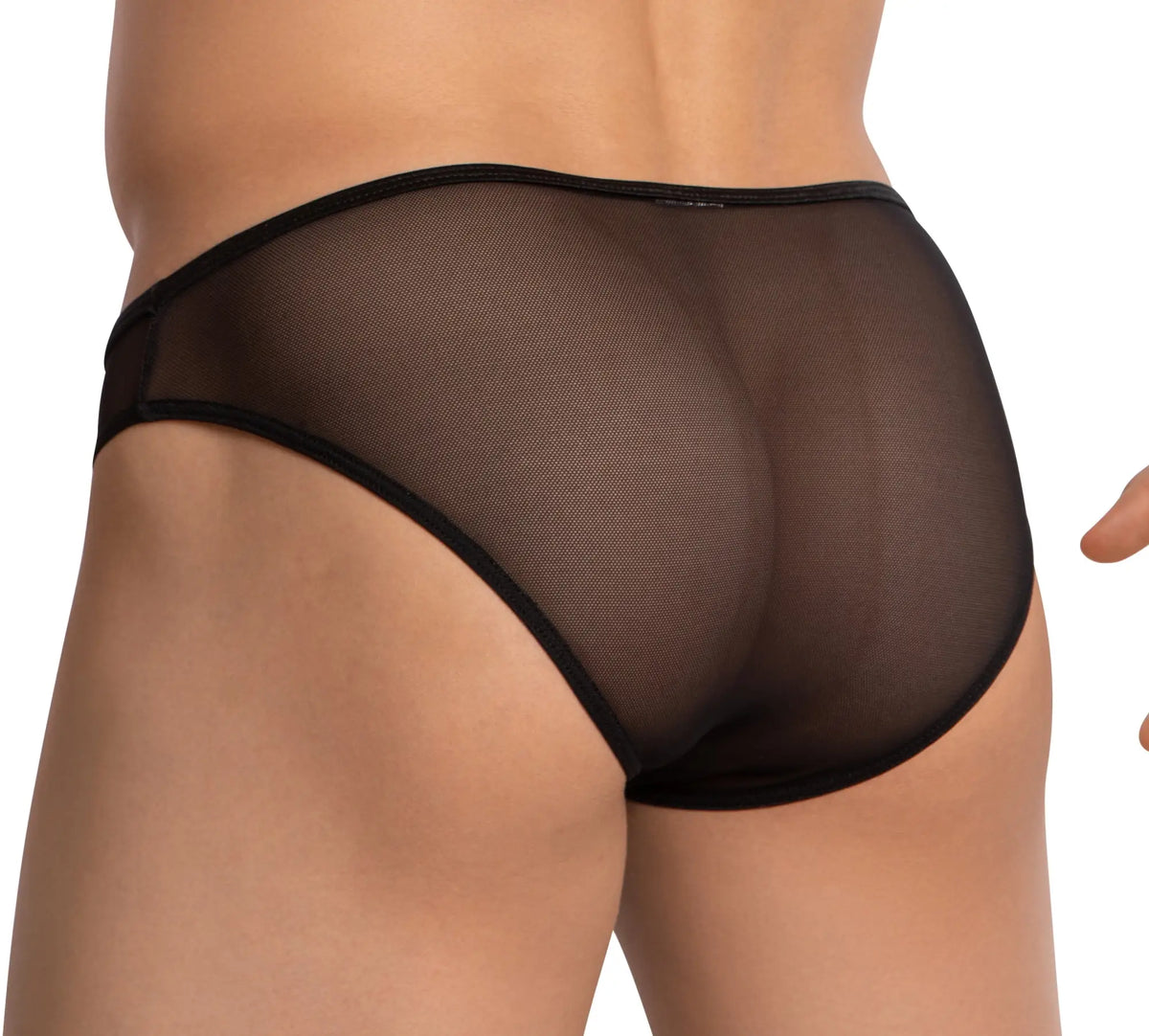 Black sheer mesh bikini briefs with solid black elastic waistband by Daniel Alexander DAI099 front view