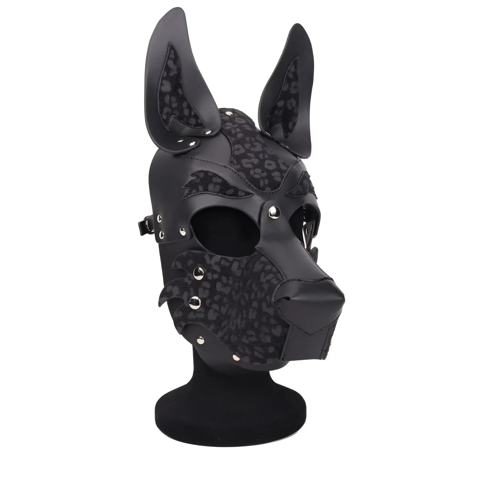 Black leather daytona dog hood with leopard print accents and silver studs for stylish pup wear