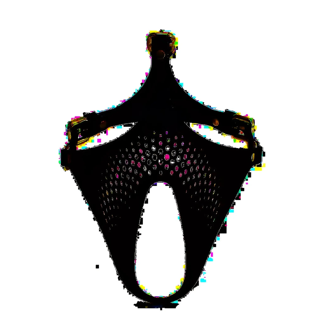 Daytona ex machina genuine leather mask black with black leather harness gold-tone hardware and rhinestone pattern