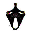 Daytona ex machina genuine leather mask black with black leather harness gold-tone hardware and rhinestone pattern