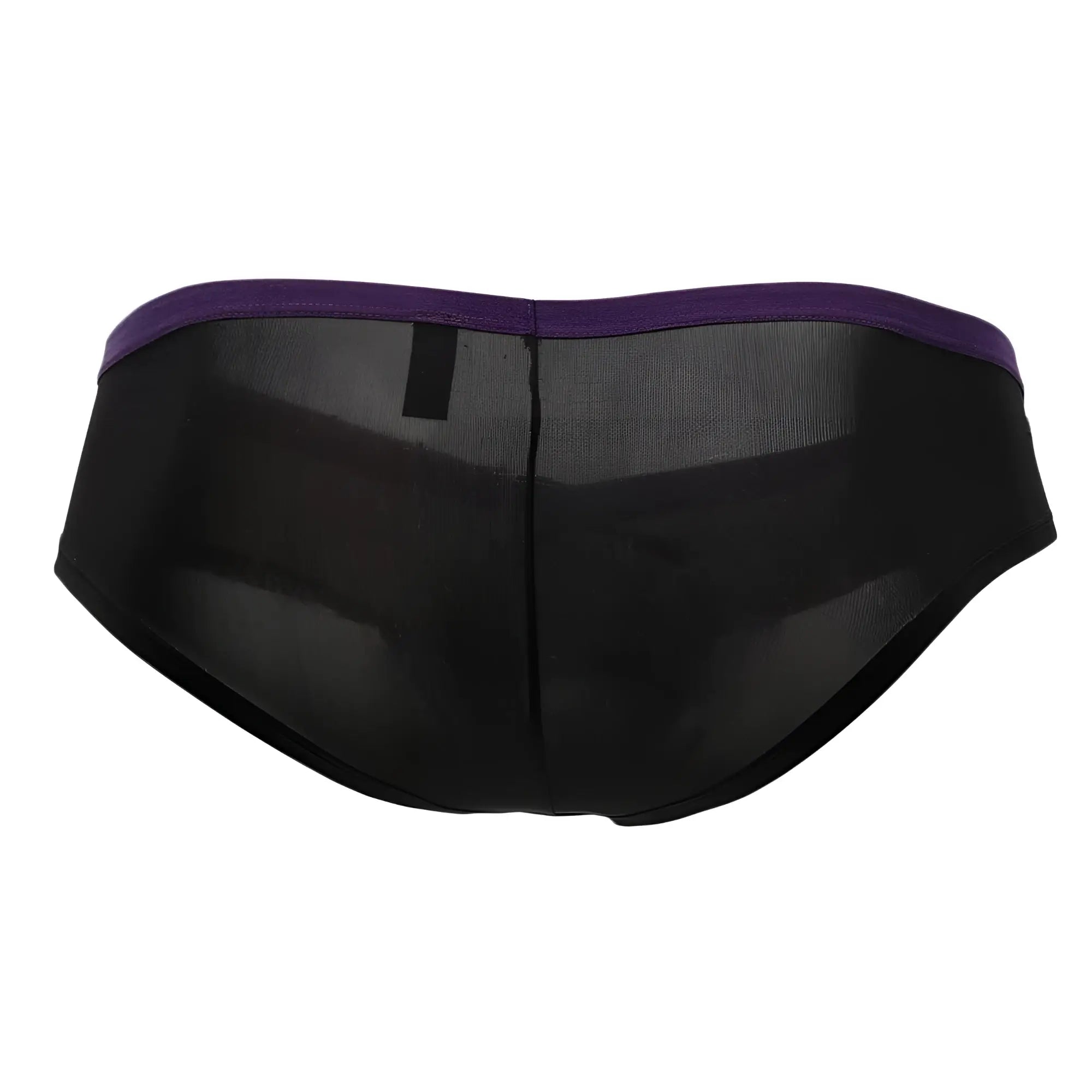 Doreanse 1377-BLK boost cheeky brief black sheer mesh with solid purple waistband showing front side view
