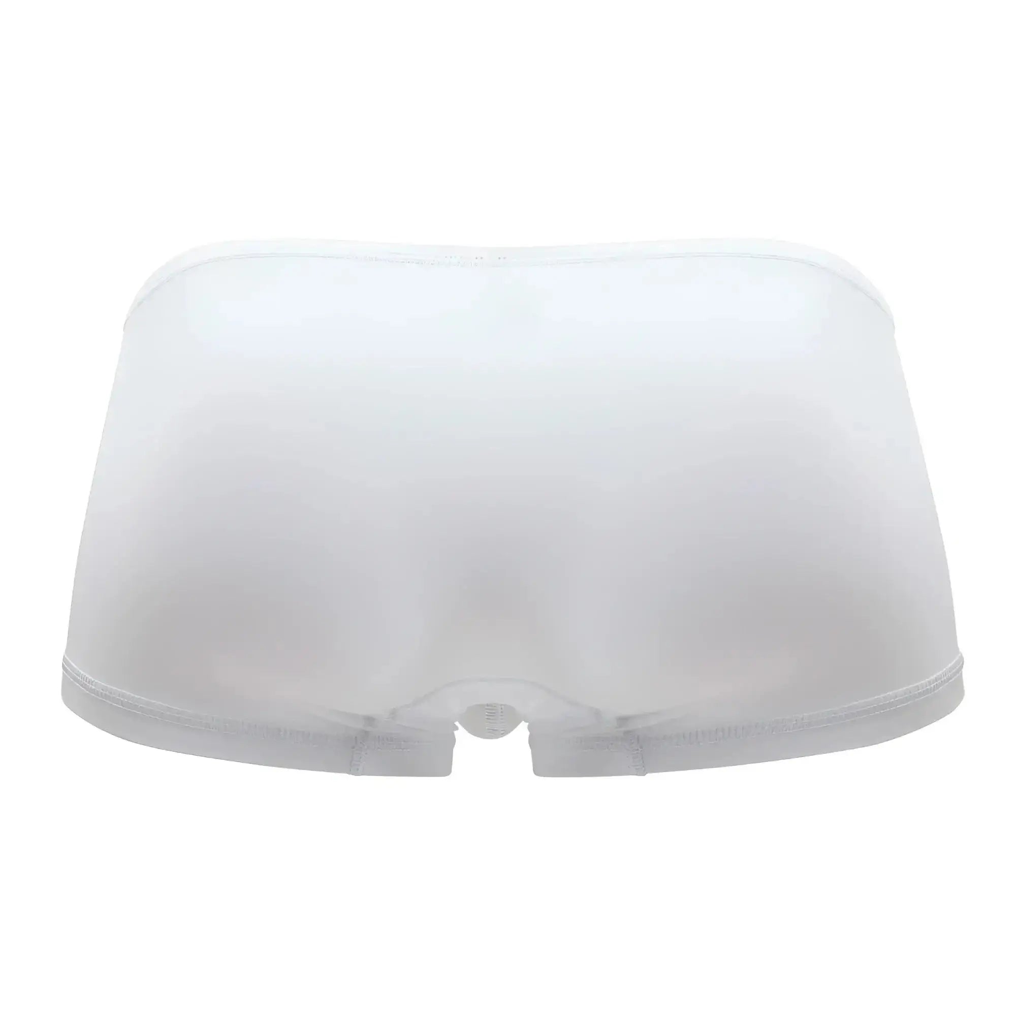 Ergowear ew1167 x4d white sheer mesh briefs with smooth seamless design and elastic waistband