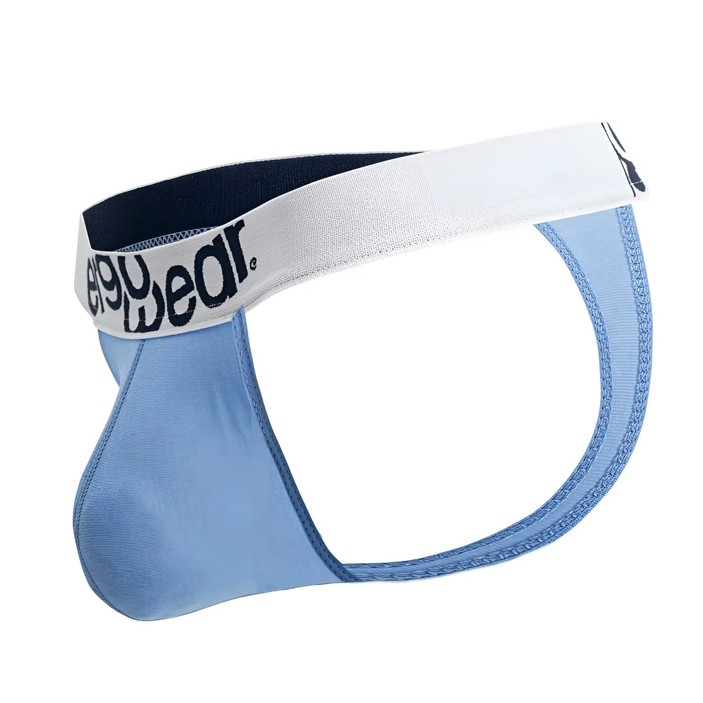 Light blue seamless men’s briefs with white elastic waistband and easywear logo from ErgoWear ew1711 max cotton collection