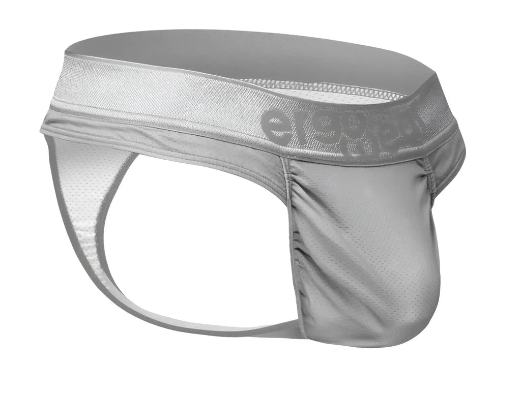 Silver mesh briefs with branded waistband shown from the back in ergowear ew1758 feel se thongs color silver