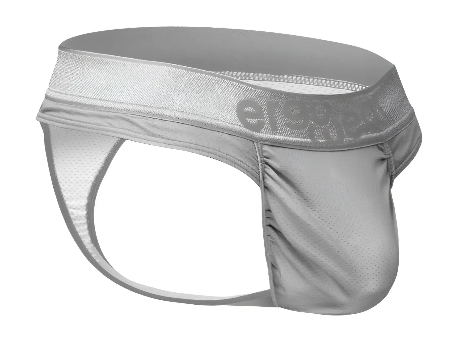 Silver mesh briefs with branded waistband shown from the back in ergowear ew1758 feel se thongs color silver