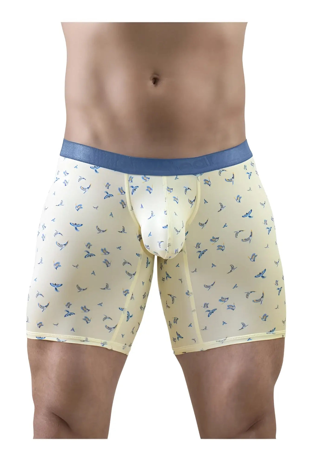 Cream-colored ergoWear Ew1771 SLK se boxer briefs with blue waistband and small blue stylized bird pattern