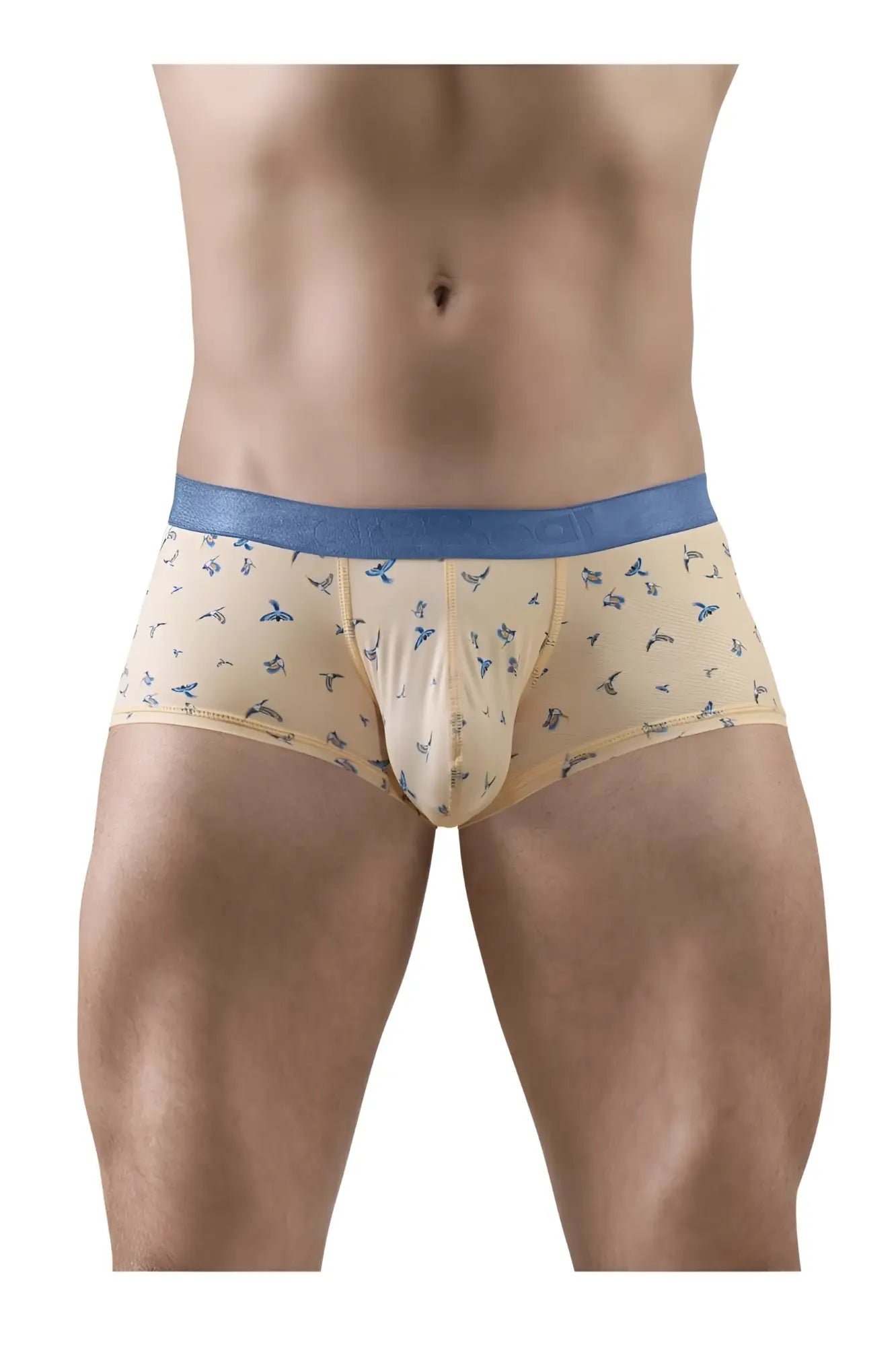 Beige ergo wear ew1774 slk se trunks with blue waistband and small bird patterns in peach color