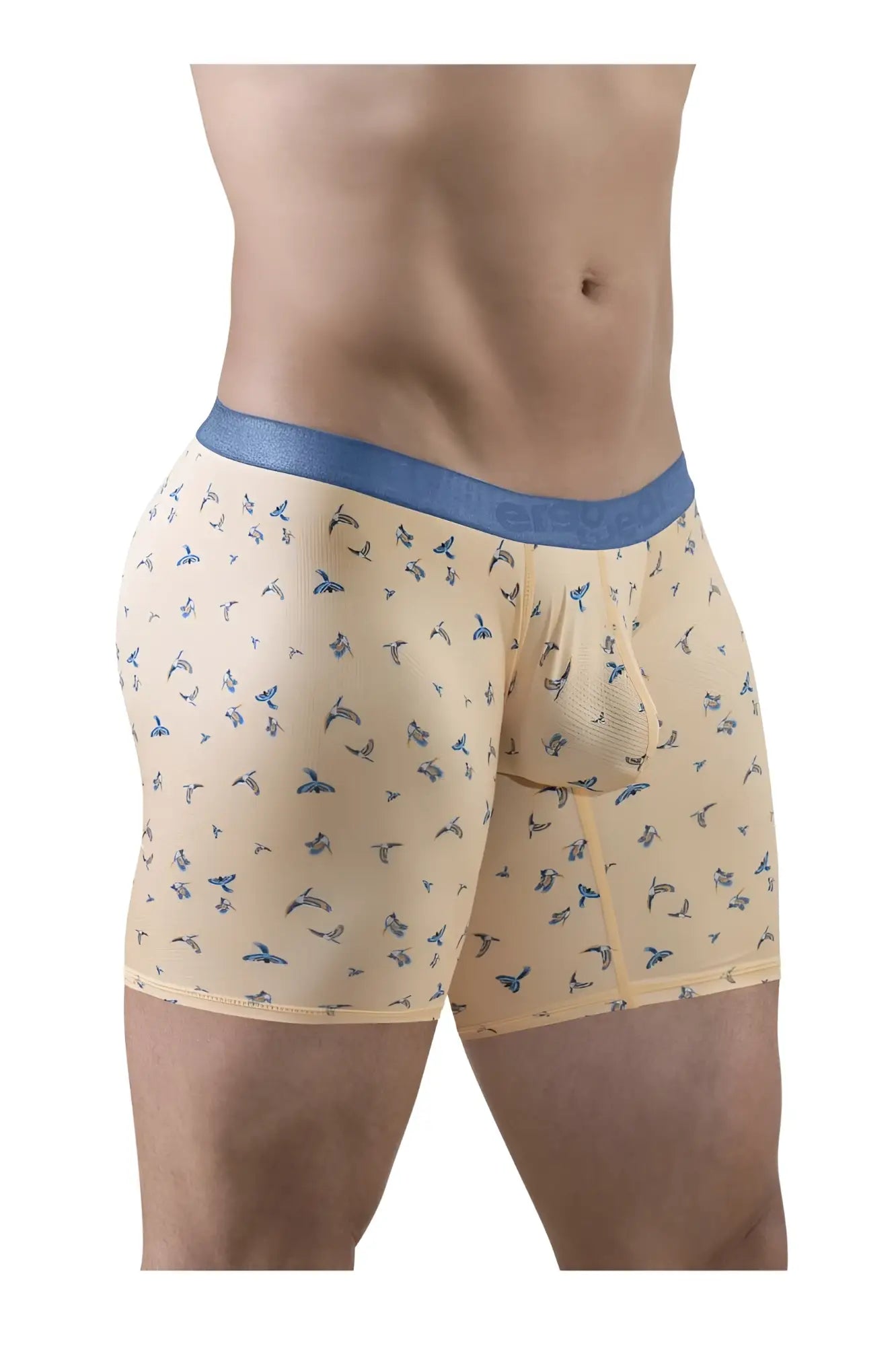 ErgoWear EW1775 SLK SE beige boxer briefs with blue waistband and subtle blue bird pattern for comfortable wear