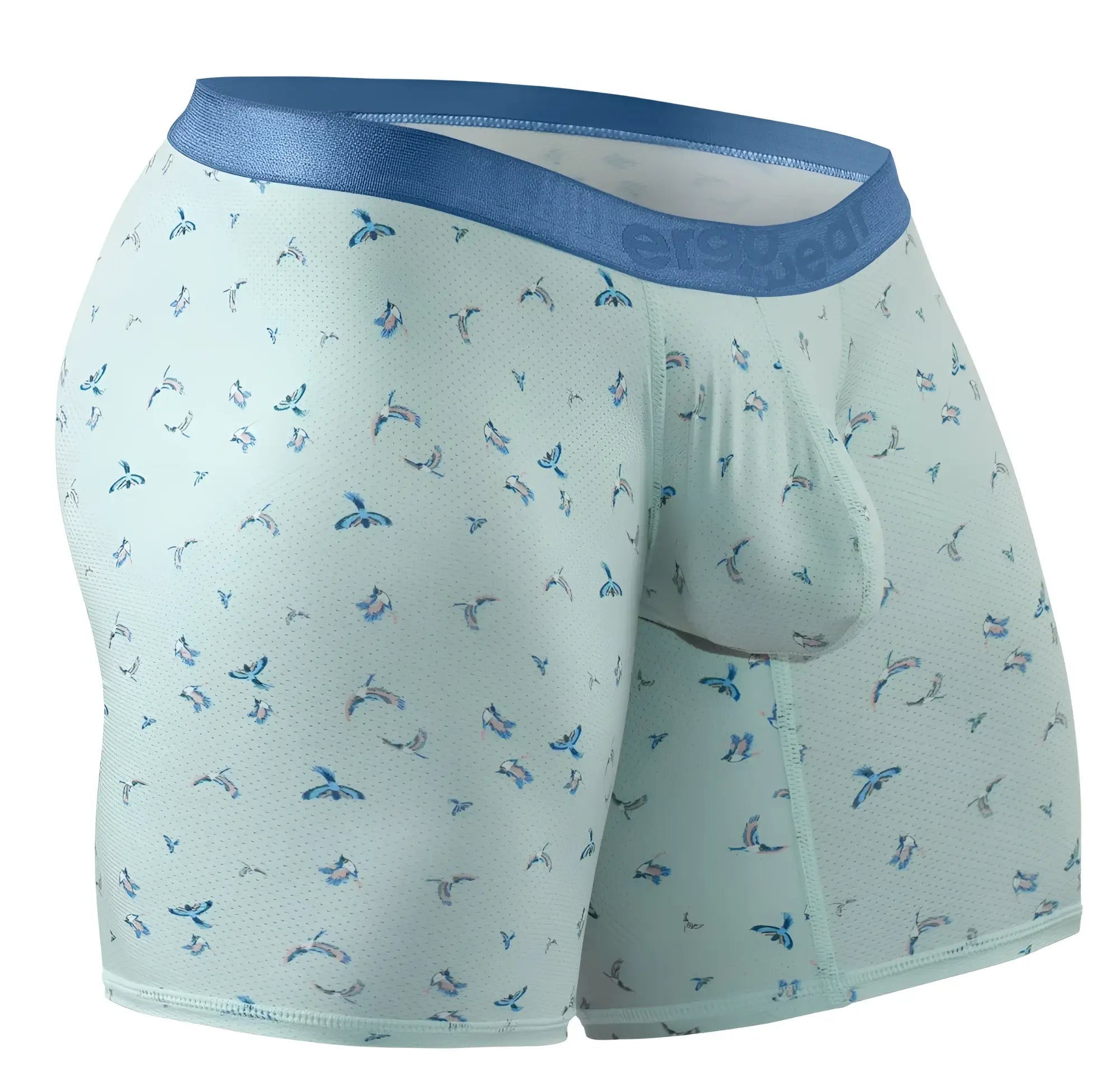 Ergowear ew1779 slk se light green boxer briefs with blue elastic waistband and small blue bird patterns frost-birds