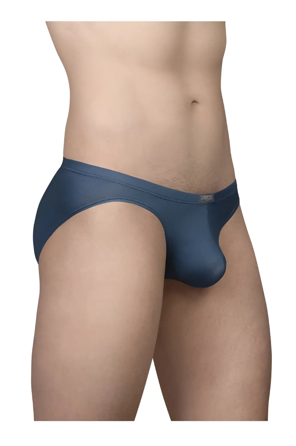Navy blue sheer mesh briefs ergoWear ew1798 x4d se bikini with smooth form fitting design in sea blue