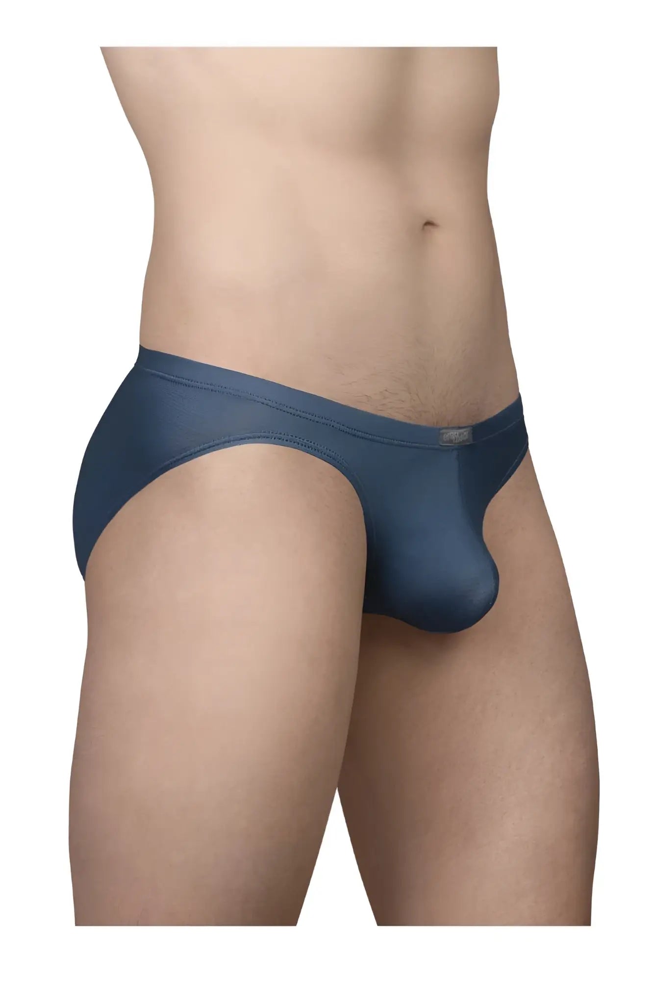 Navy blue sheer mesh briefs ergoWear ew1798 x4d se bikini with smooth form fitting design in sea blue