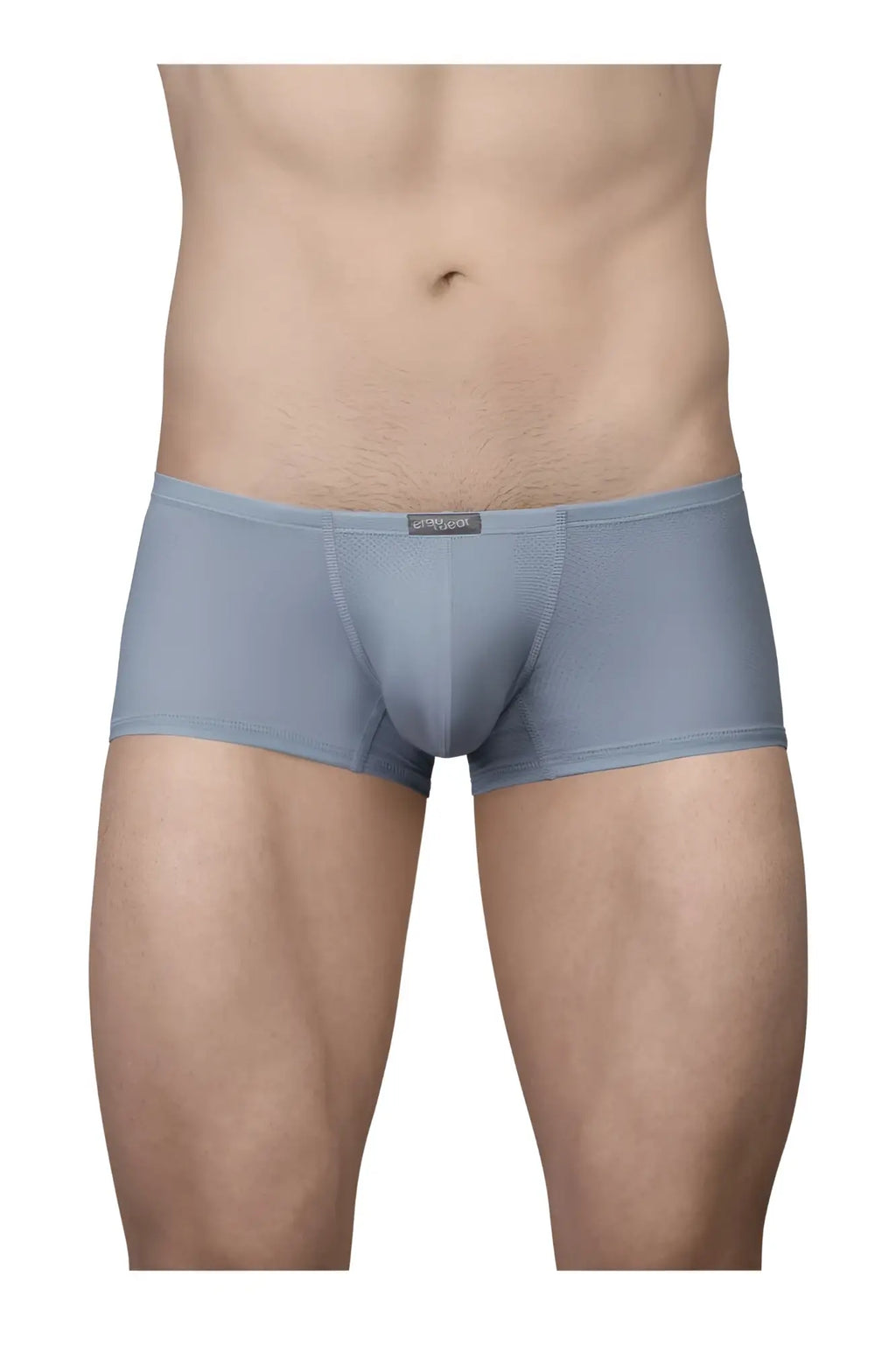 Ergo wear ew1807 x4d se trunks in stone blue men’s brief with sleek form fitting design and subtle texture