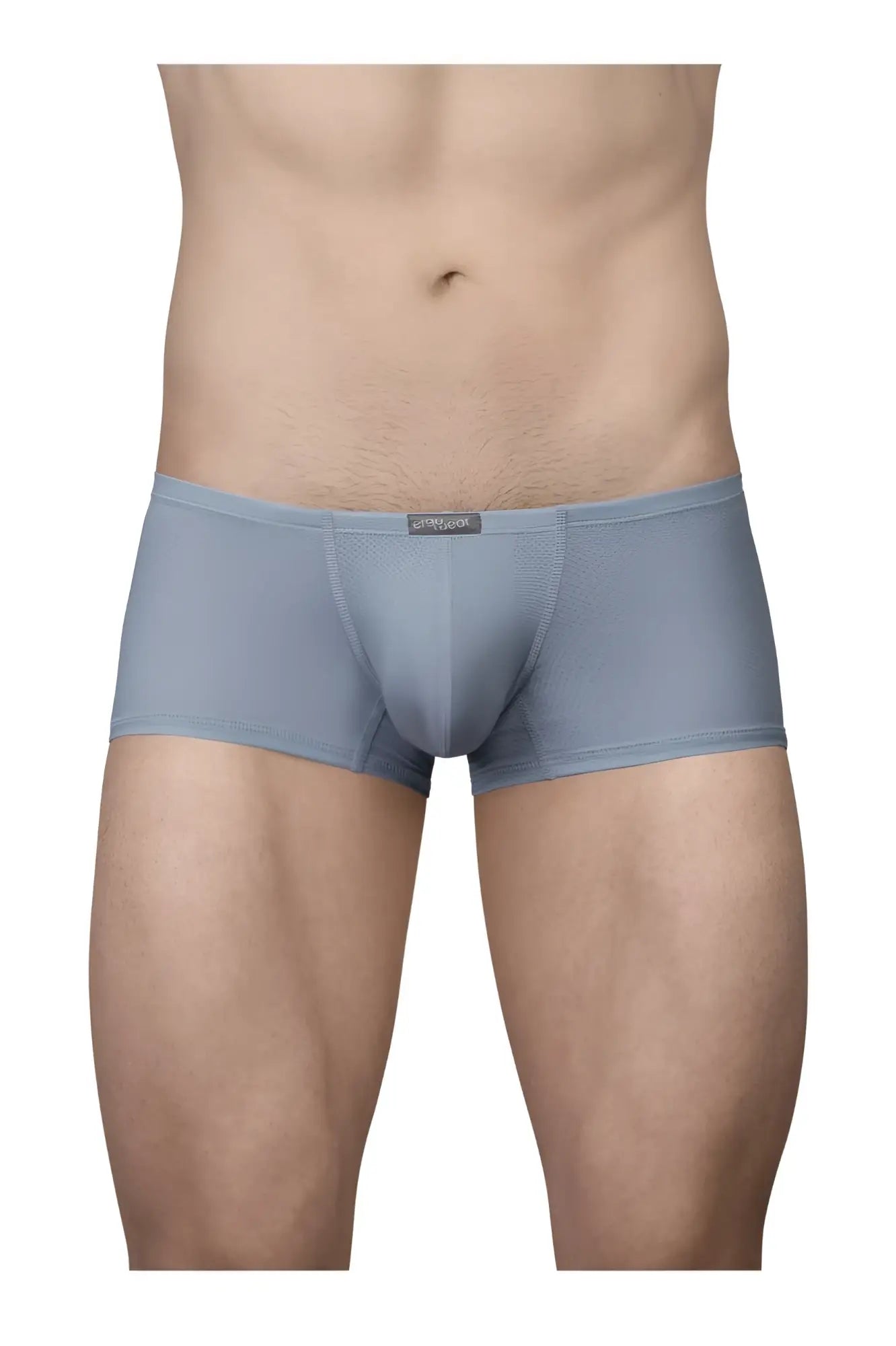 Ergo wear ew1807 x4d se trunks in stone blue men’s brief with sleek form fitting design and subtle texture