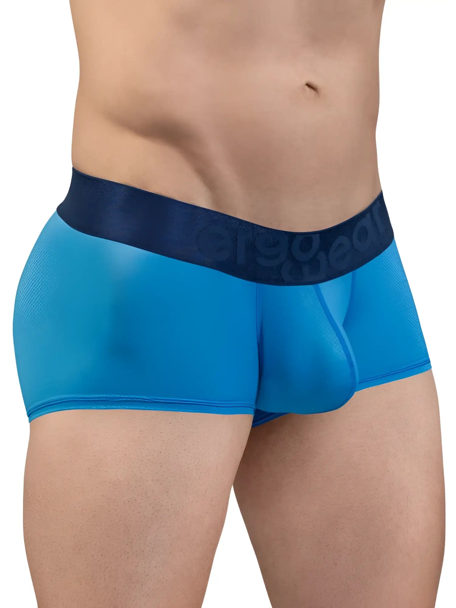 Blue sheer men’s briefs with dark blue ergo wear logo waistband from ergo wear ew1822 max bold se trunks river blue