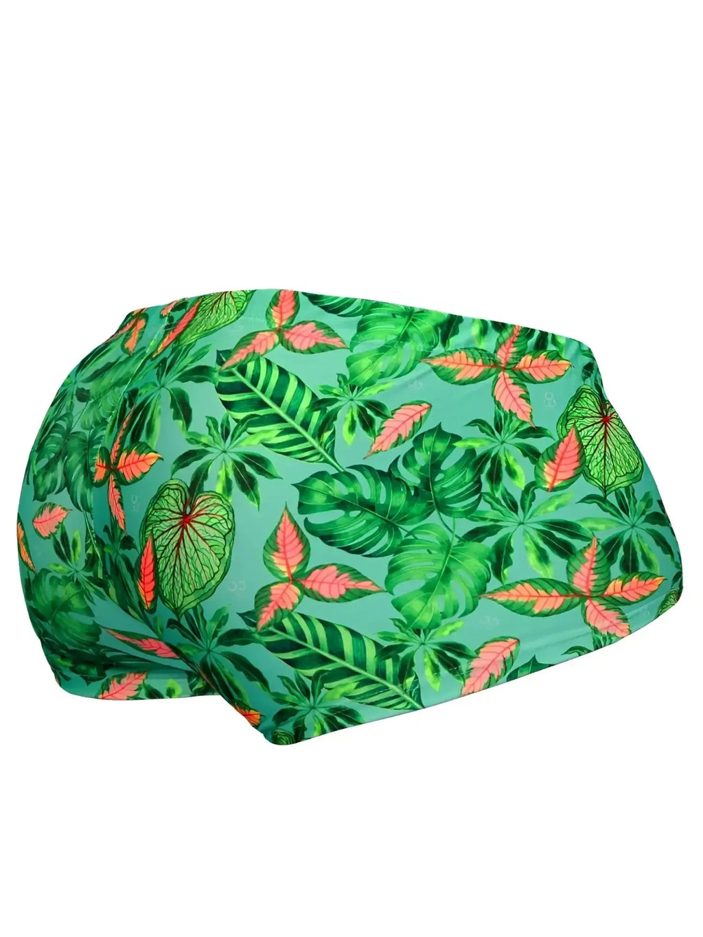 ErgoWear EW1829 FEEL SW swim trunks in Aqua-Leaves, rear view showing tropical print.
