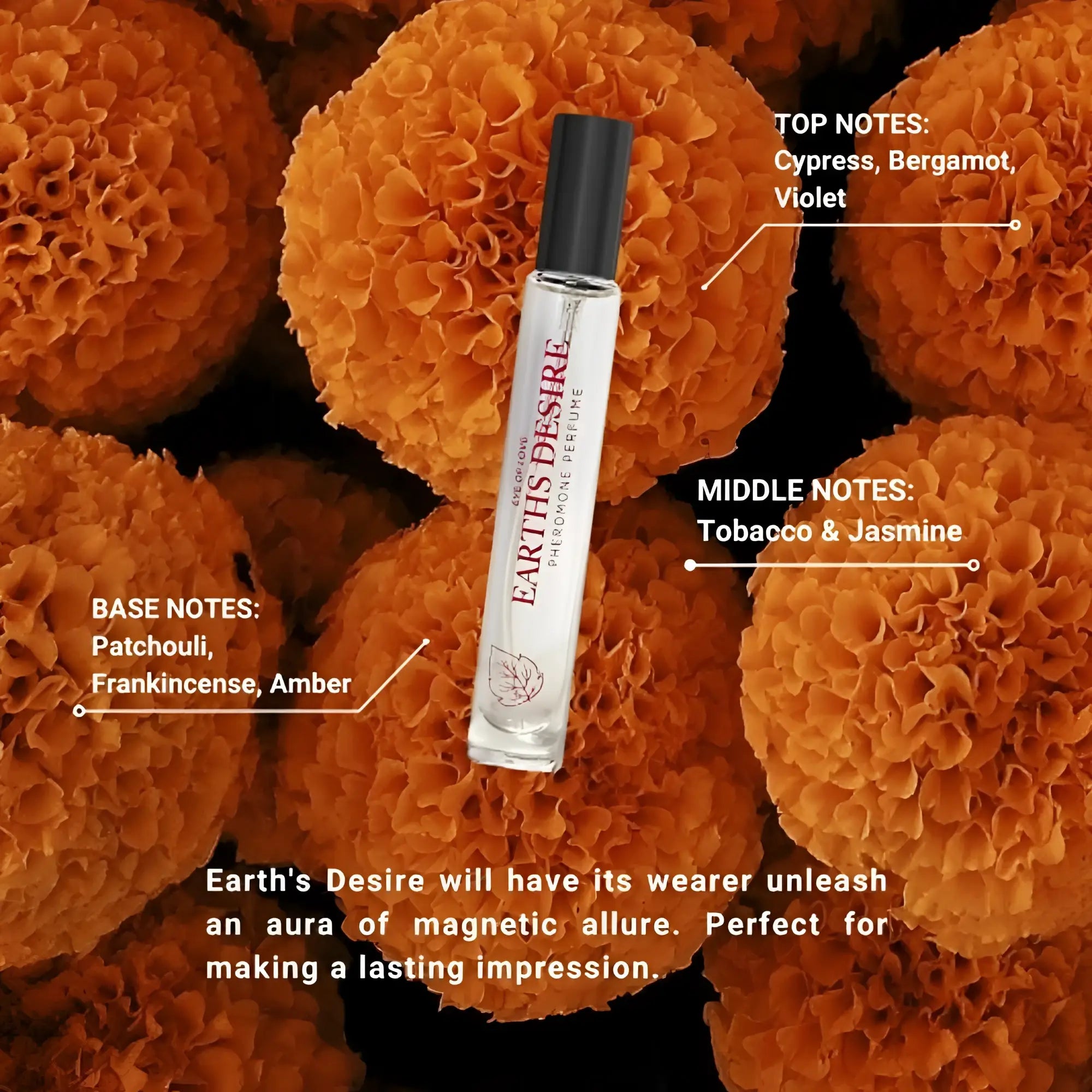 A clear glass roll-on pheromone body spray earths desire by earth & fire with black cap on orange marigold background