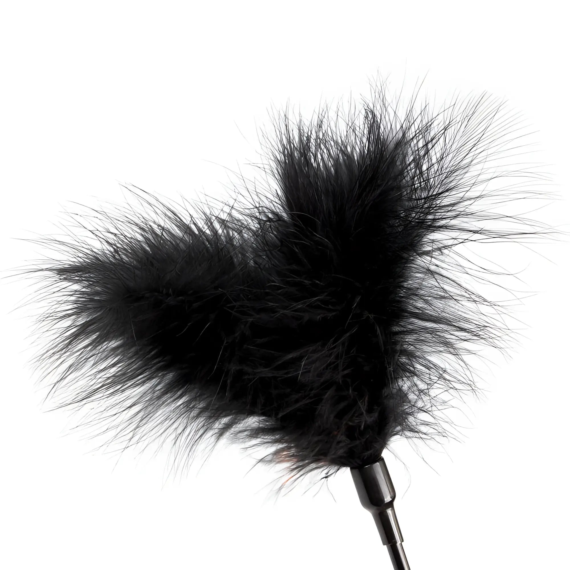 Black feather duster with sleek metallic handle in fetish collection beginners bondage fantasy kit for light sensory play