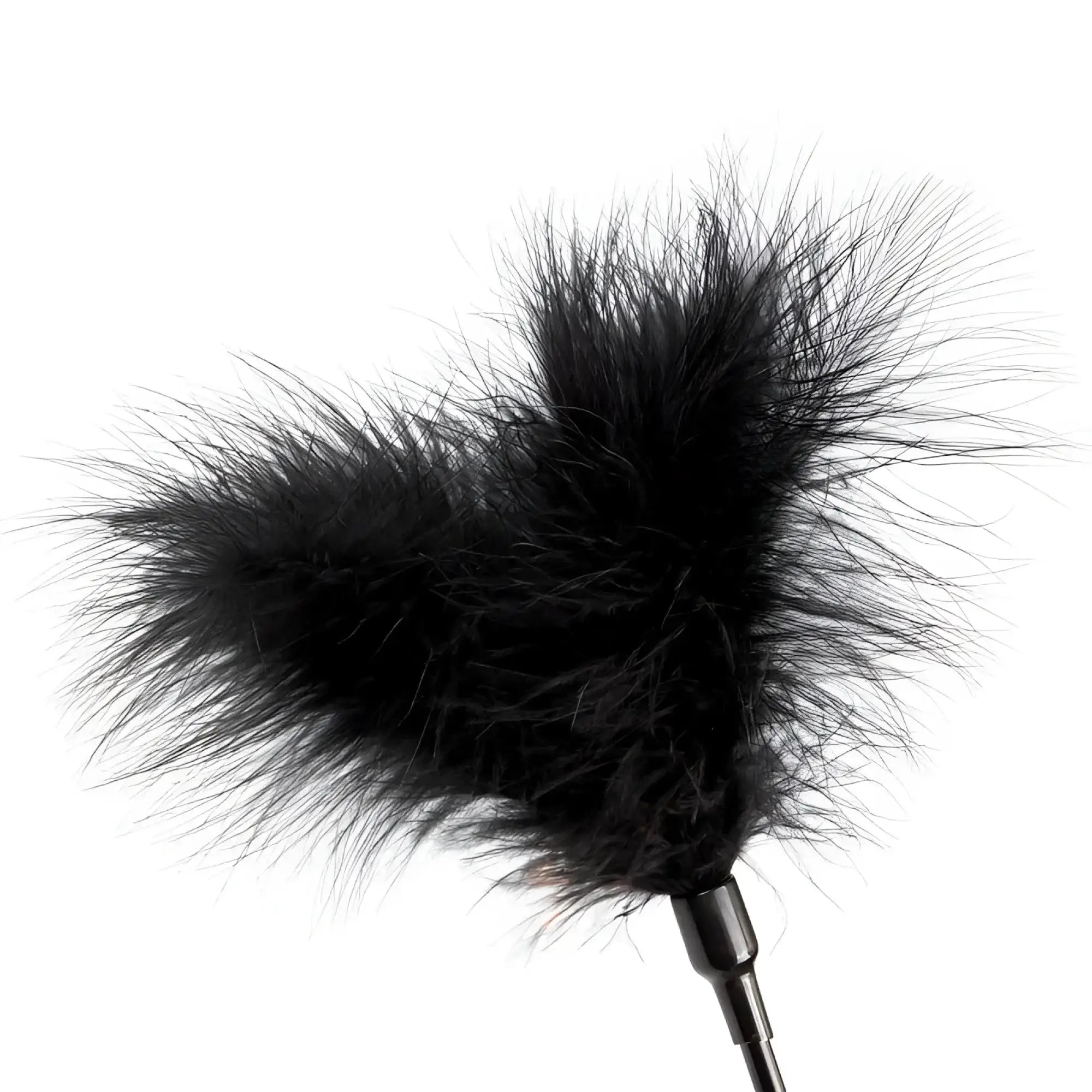 Black feather duster with sleek metallic handle in fetish collection beginners bondage fantasy kit for light sensory play