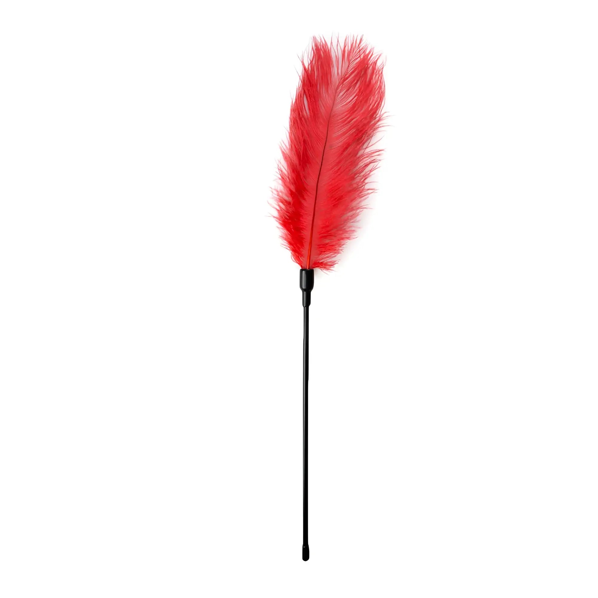 Fetish collection feather tickler red with red feathers and black handle for sensory play and tickling
