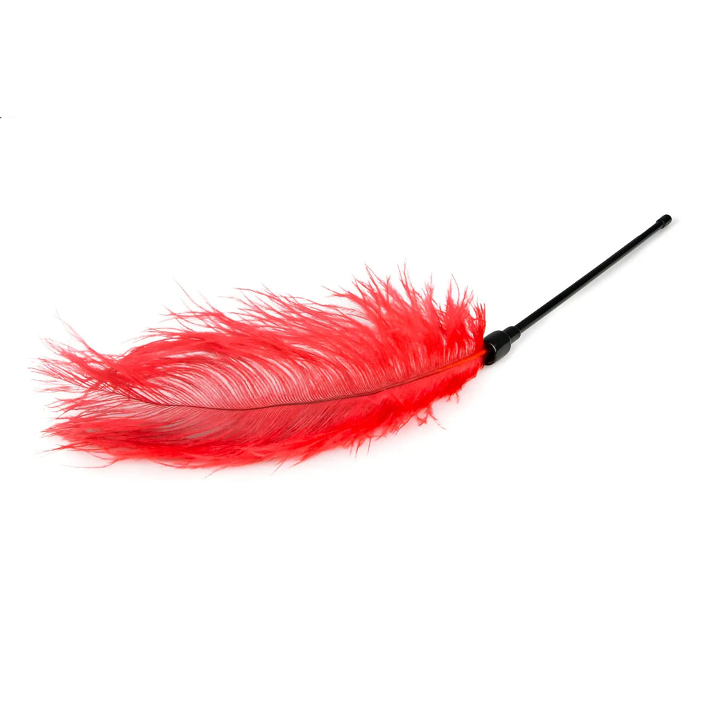 Vibrant red ostrich feather tickler with a sleek black handle from Fetish Collection feather tickler red product