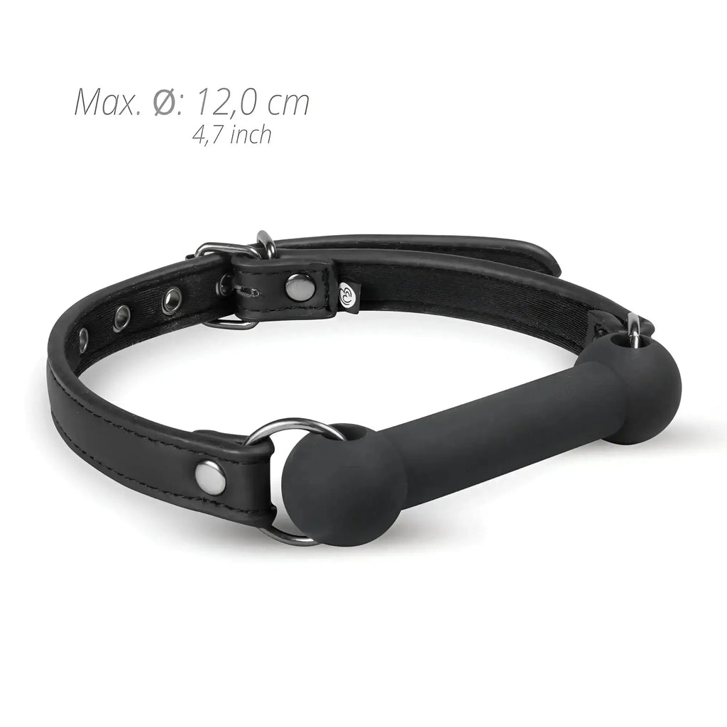 Black leather collar with matte black silicone bit gag from fetish collection for restraint play