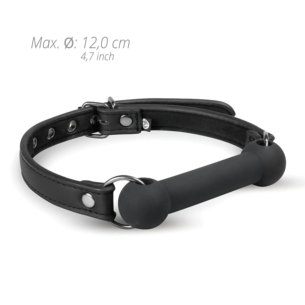 Black leather collar with matte black silicone bit gag from fetish collection for restraint play
