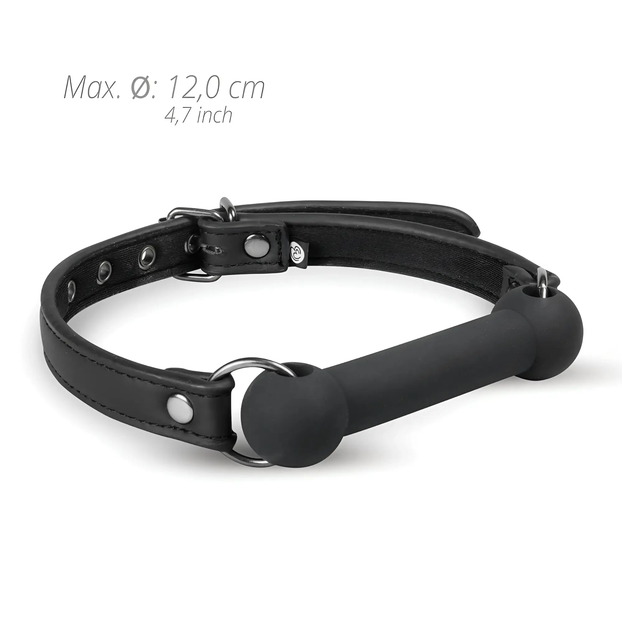 Black leather collar with matte black silicone bit gag from fetish collection for restraint play