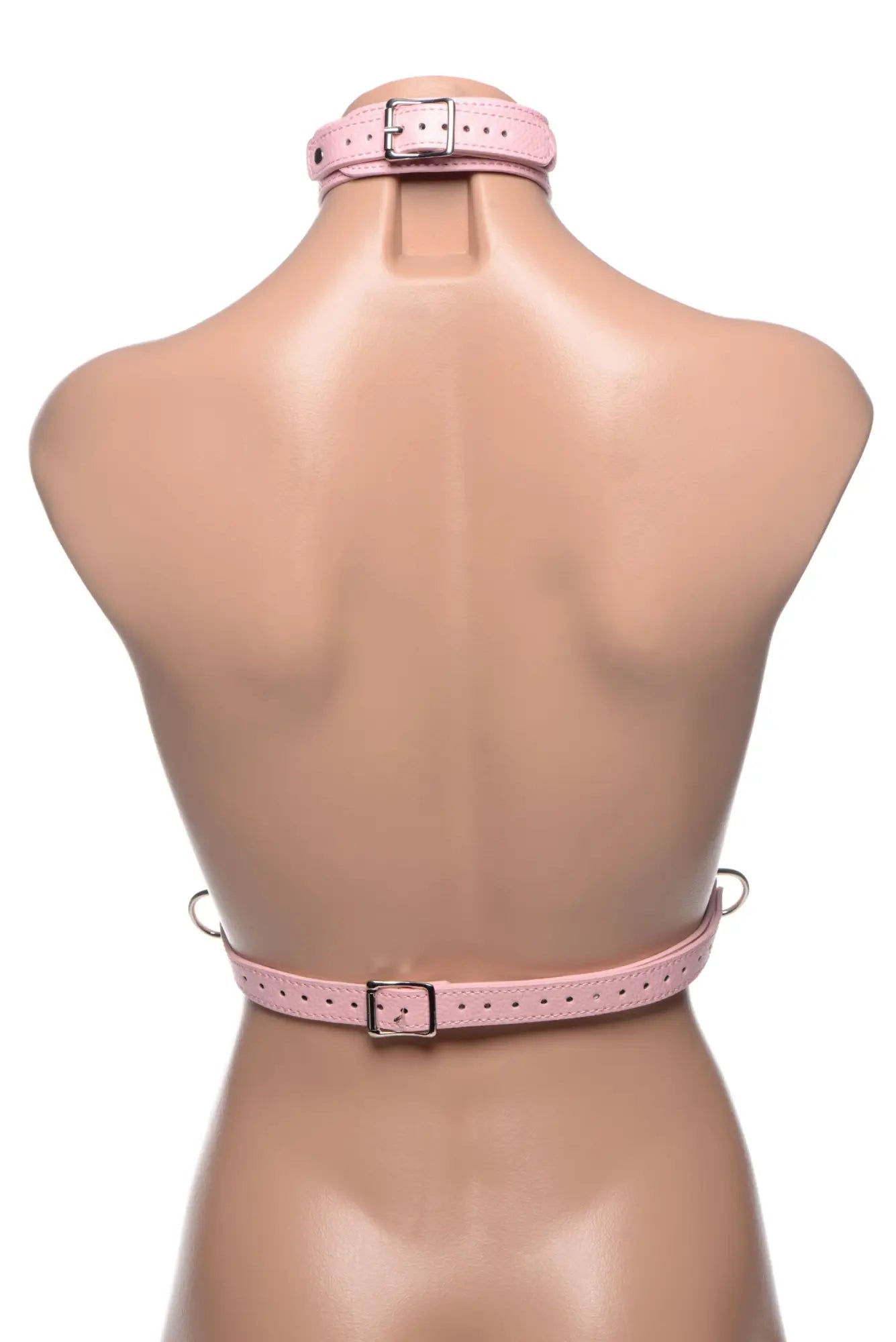 Pink leather chest harness with silver buckle and metal rings designed for the frisky miss behaved collection