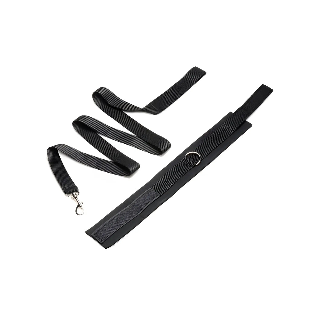 Black nylon leash with silver metal clasp and matching adjustable strap featuring d-ring from frisky neoprene collar and leash set black