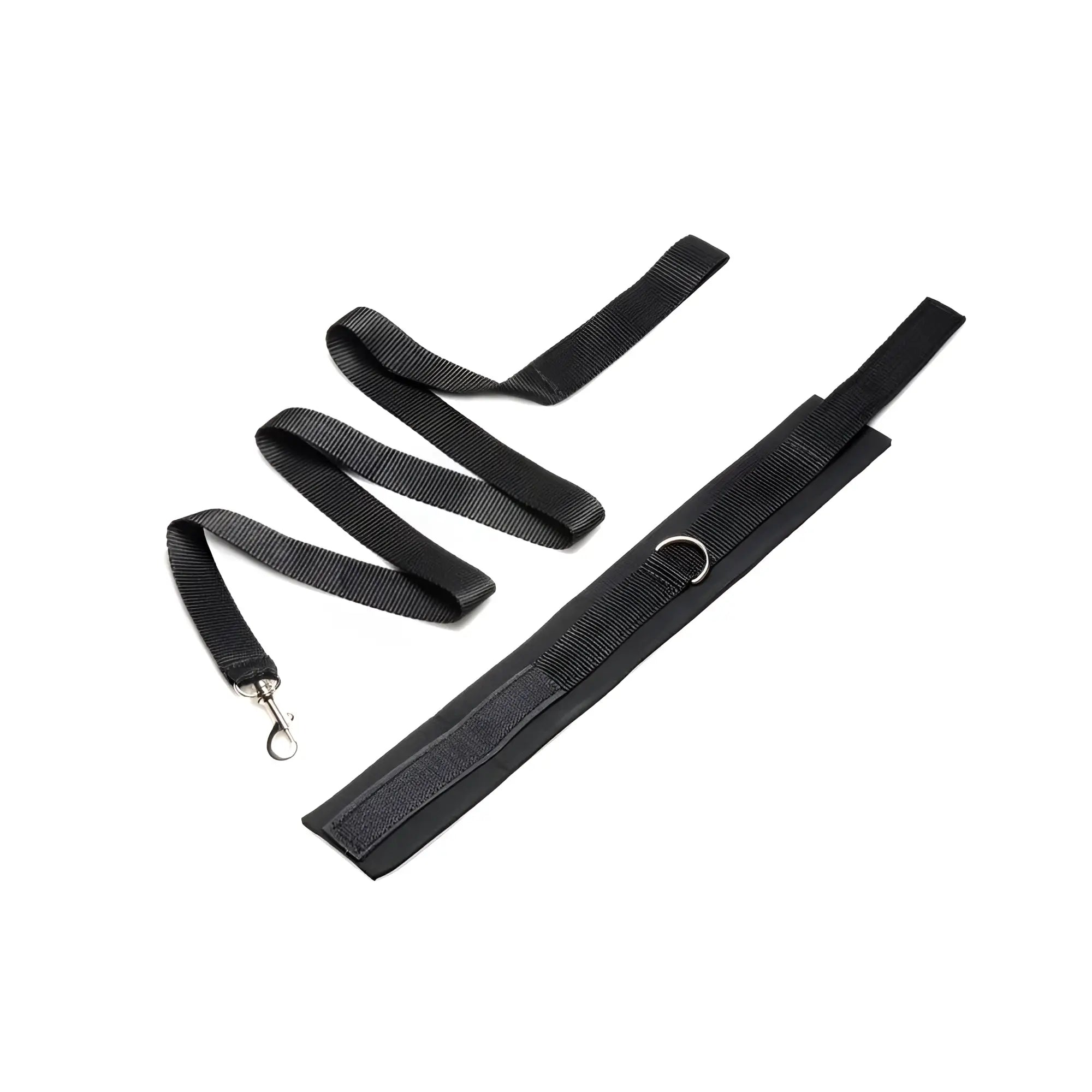 Black nylon leash with silver metal clasp and matching adjustable strap featuring d-ring from frisky neoprene collar and leash set black