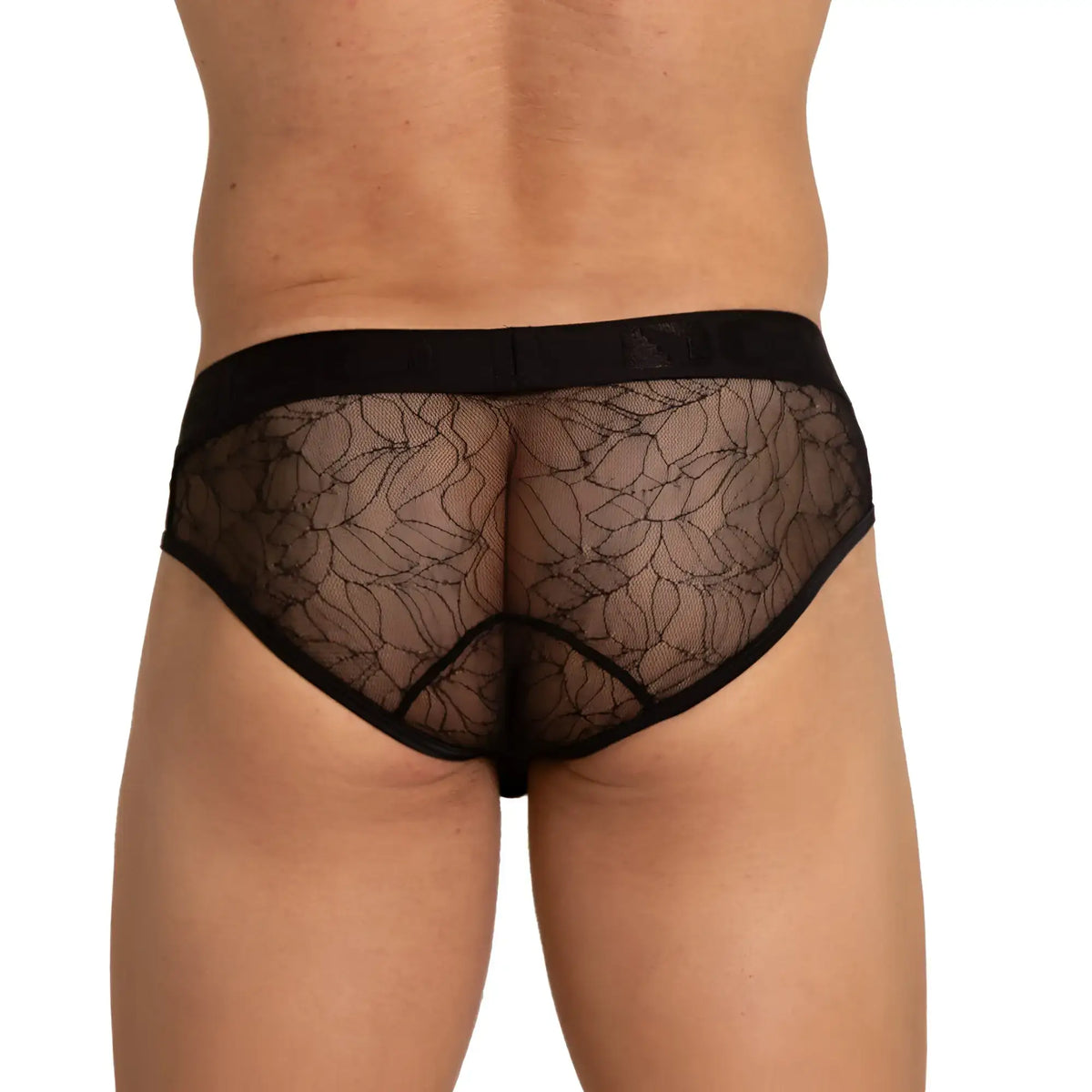 Black lace Gigo Amazonia brief underwear with delicate floral pattern and solid black waistband