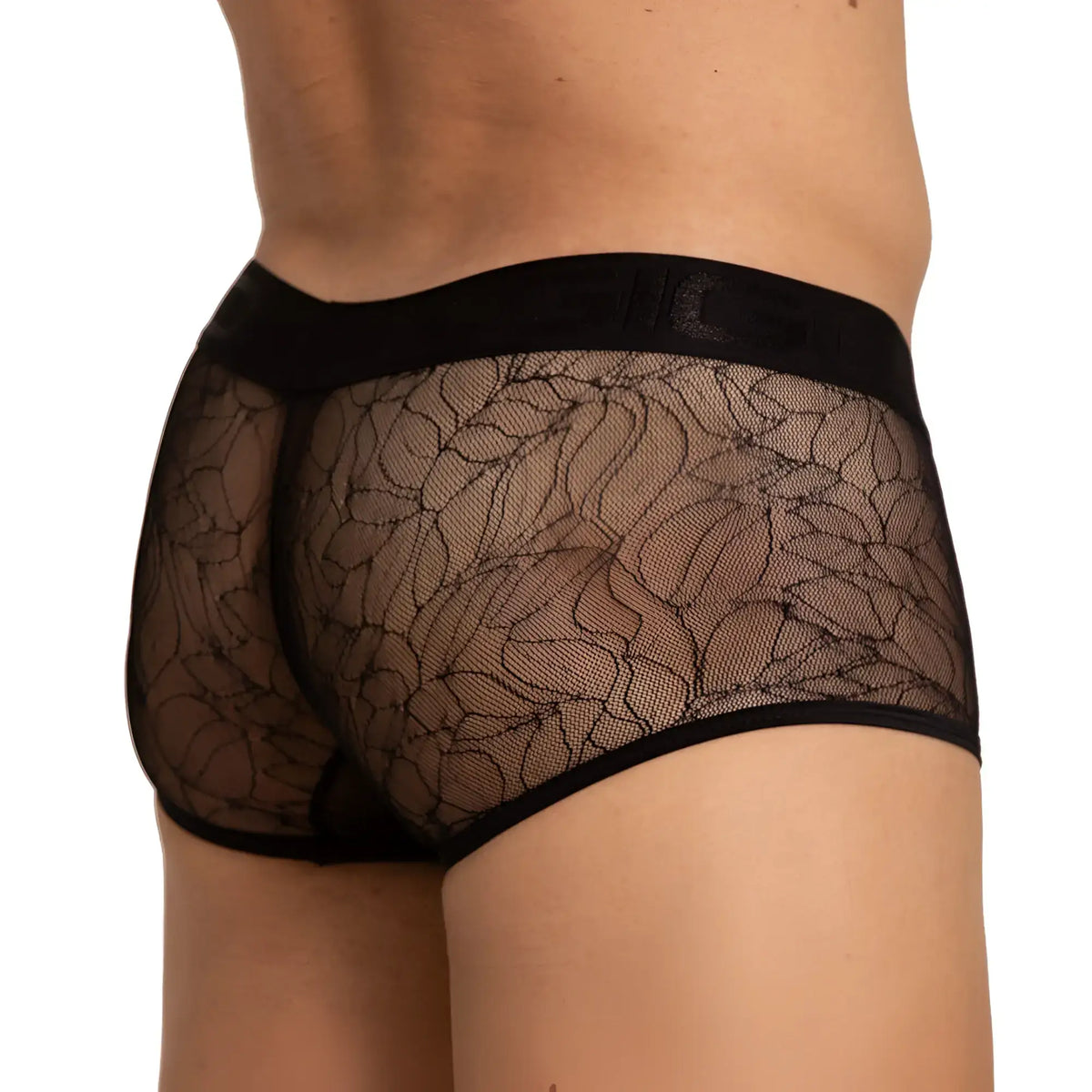 Black lace gigo amazonia trunk briefs with sheer floral mesh fabric and solid black elastic waistband