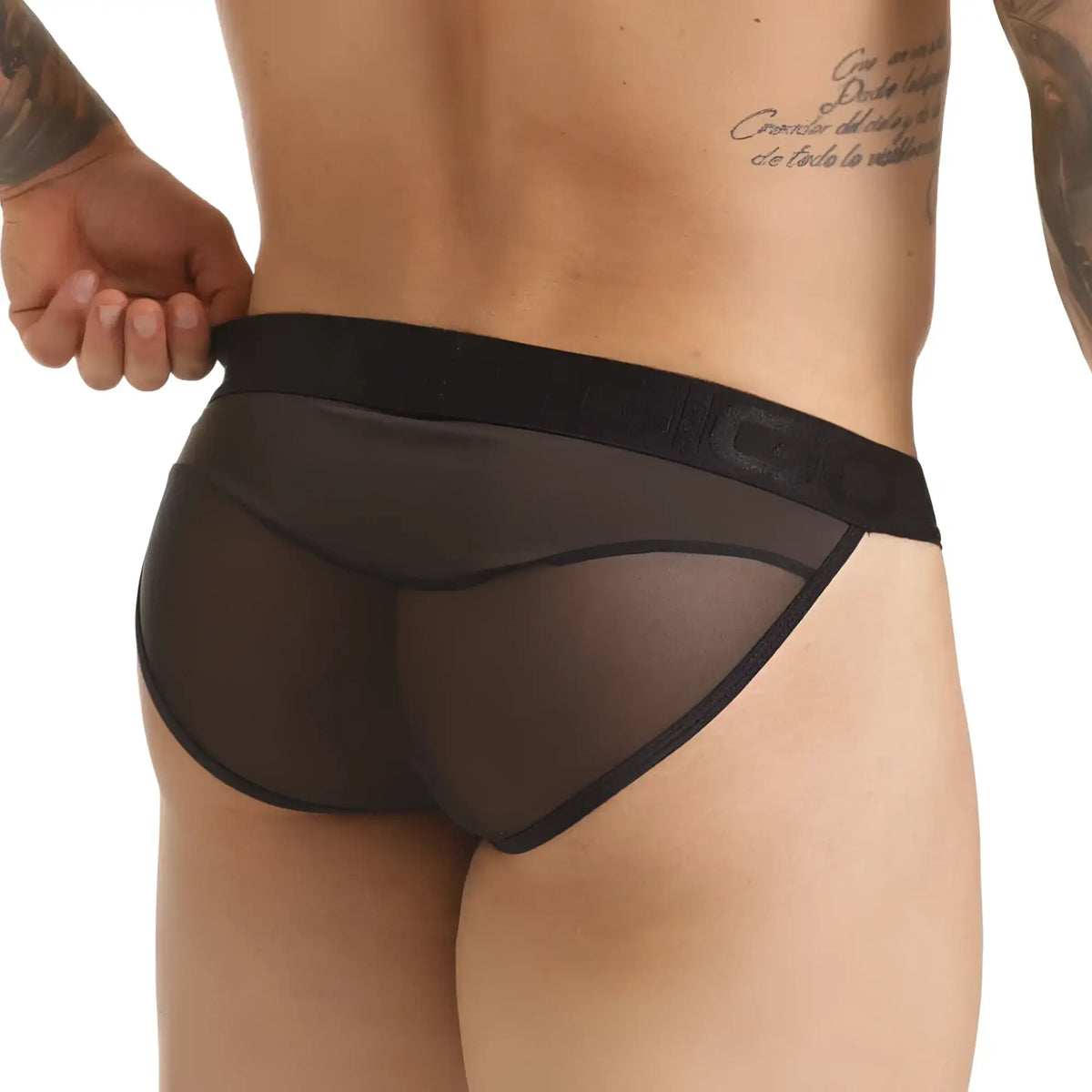 Black sheer mesh briefs with solid black elastic waistband shown from the back in gigo clandestine brief style