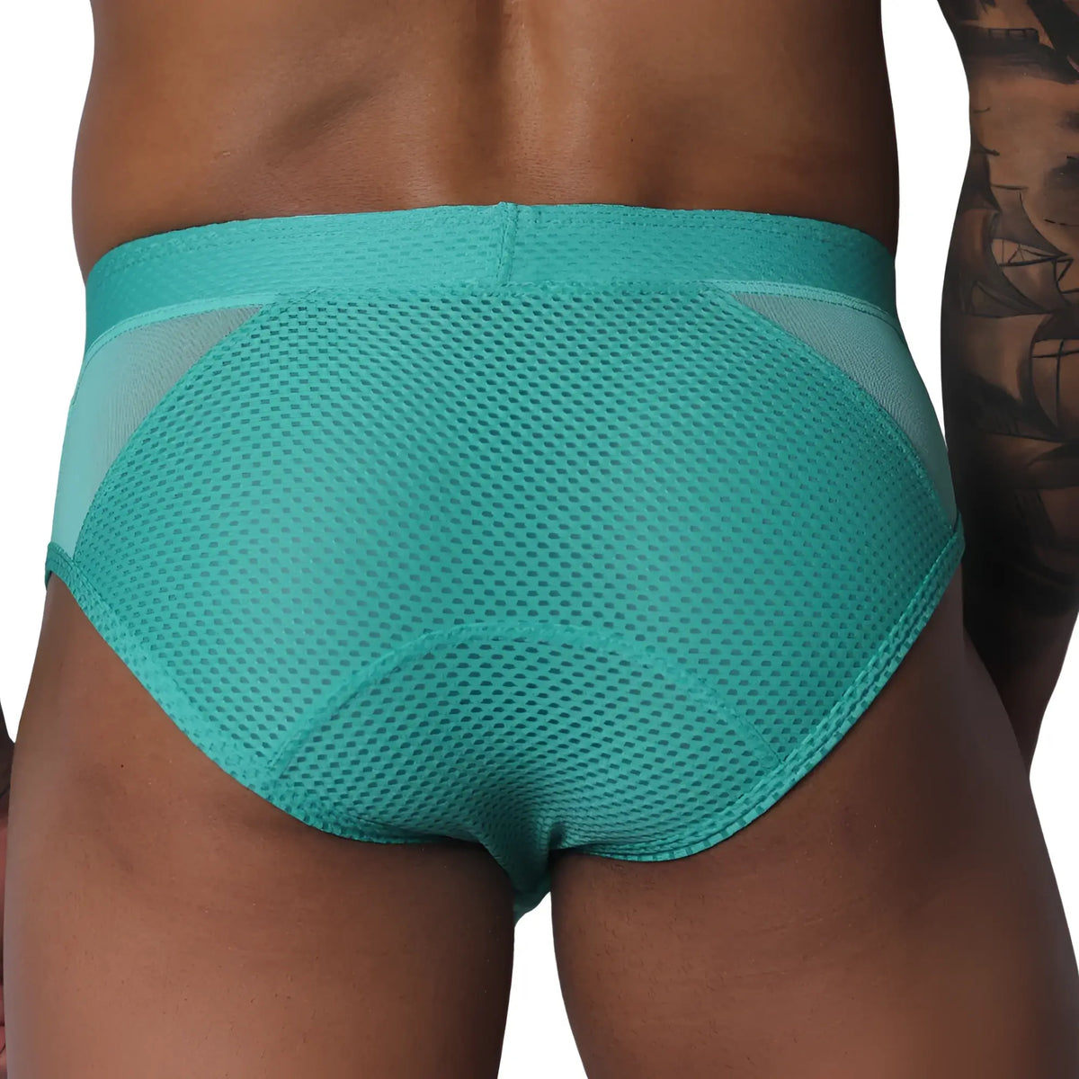 Teal mesh brief with a wide waistband, featuring semi-sheer side panels and a solid center texture.