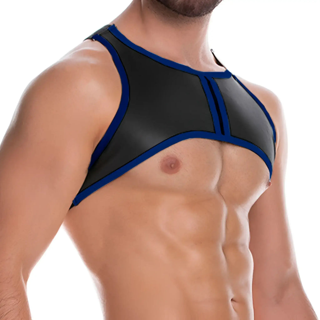 Black and blue leather-like gigo fetiche harness with a sleek modern design shown from the back side