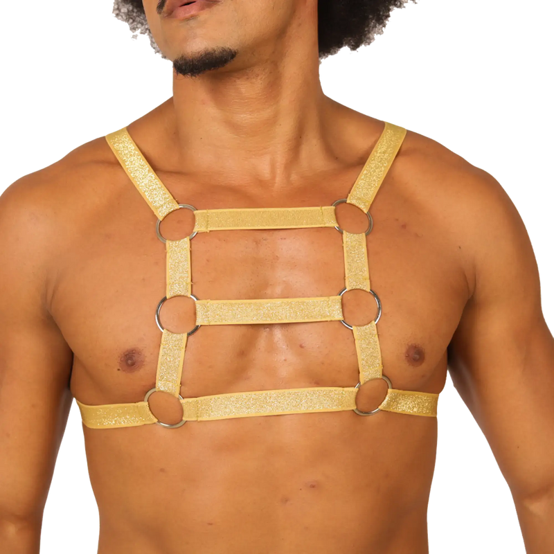 Gold glitter harness with silver metal rings from gigo hit gold harness showing front side detail