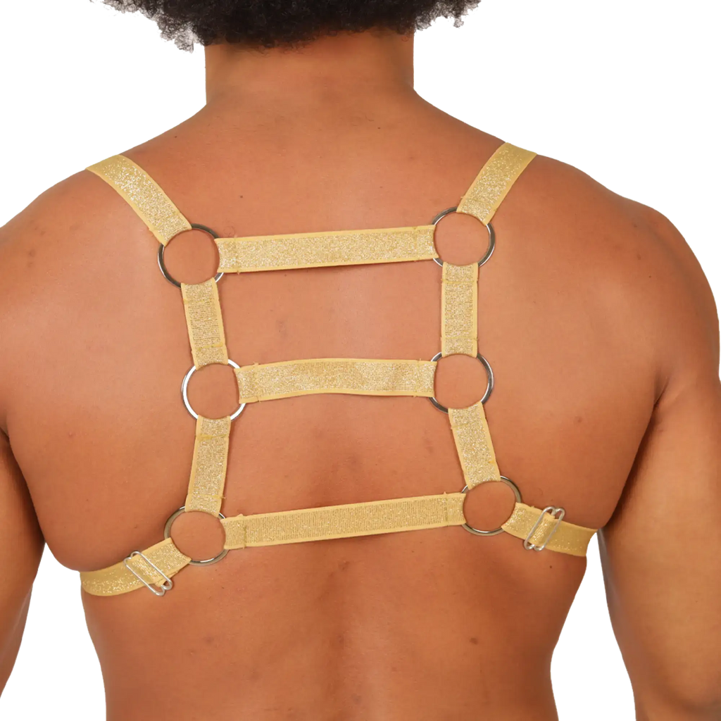 Gold glittery gigo hit harness with silver metal rings and adjustable straps shown from the back side