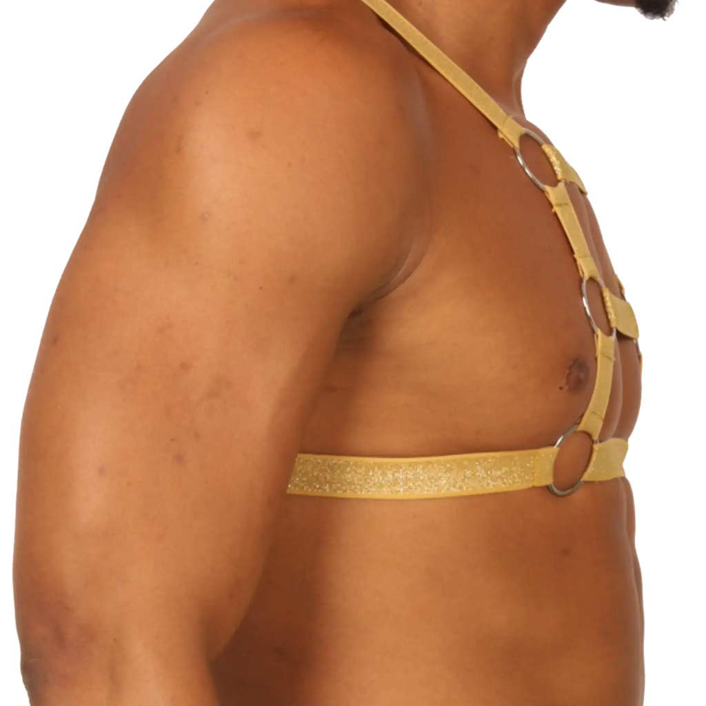 Gold glittery leather harness with silver metal rings for adjustable stylish fit in gigo hit gold harness design