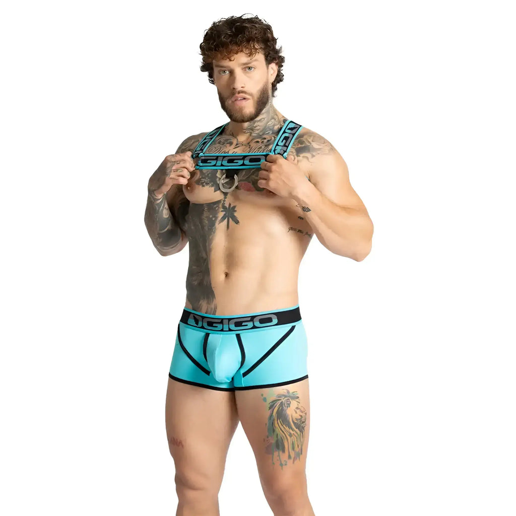 Turquoise and black gigo karma blue harness briefs with sleek modern design for comfortable daily wear
